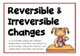 Reversible and Irreversible Changes Information Poster Set