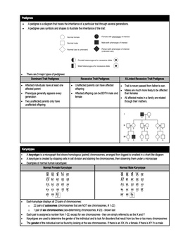 student sheet 2.3 genetics case study comparison answers