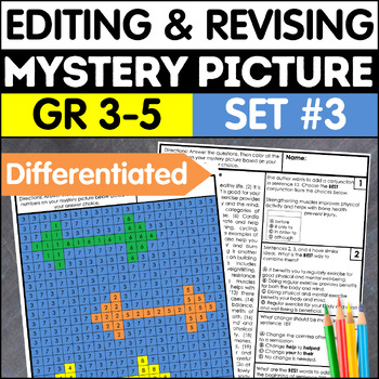 Preview of Revising & Editing Practice Mystery Picture with Punctuation & Capitalization