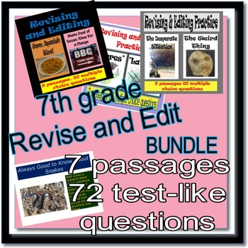 Preview of Revising and Editing Practice, 7th Grade, BUNDLE