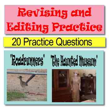 Preview of Revising and Editing Practice Passages, "Roadrunners" and "The Haunted Museum"