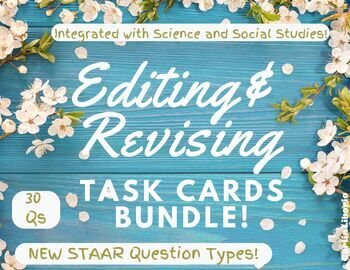 Preview of Revising and Editing Task Cards- BUNDLE!