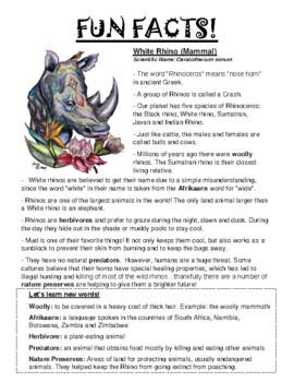 Rhinoceros Fun Facts and profile, African animals, White Rhino, printable  PDF