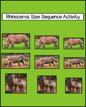 Preview of Rhinoceros Size Sequence Activity