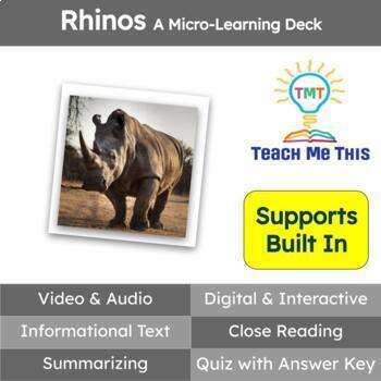 Preview of Rhinos Informational Text Reading Passage and Activities