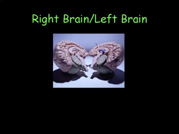 Preview of Right Brain / Left Brain