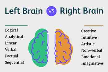 Preview of Right Brain vs Left Brain