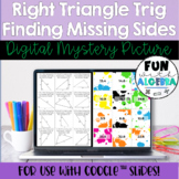 Right Triangle Trig - Find Missing Side DIGITAL Mystery Picture