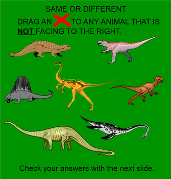 Preview of Right vs. Left, Same vs. Different, Opinion vs. Fact