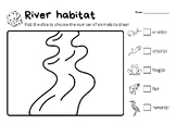 River habitat animals review | drawing activity | K1-K3 Science
