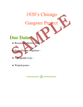 Preview of Roaring 20's research project - 1920's Chicago Gangsters