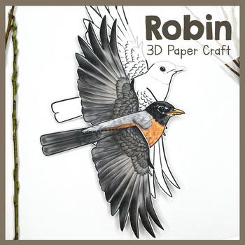 Preview of Robin | 3D Paper Bird| Printable Animal Craft | Robins