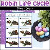 Robin Life Cycle Poster & Life Cycle of a Robin Cards for 