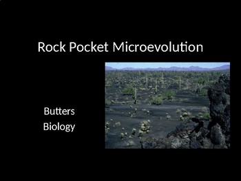 Preview of Rock Pocket Mouse Microevolution Instructional PPT