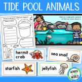 Tide pool habitat animals PowerPoint, Google Slides, word 
