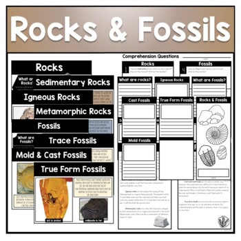 Rocks & Fossils by Jess Dawn Creative | TPT