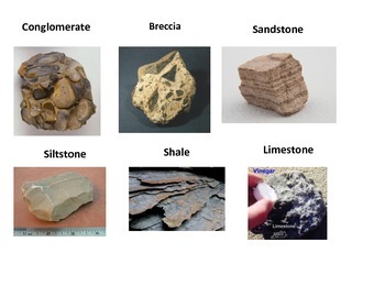 Sedimentary rocks examples with pictures
