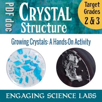 Preview of Rocks and Crystals — Grow Mineral Salt Crystals and Study their Shapes