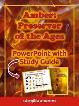 Preview of Rocks and Minerals Gems Amber Earth Science Geology PowerPoint Distance Learning