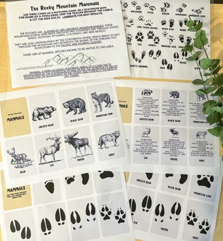 Preview of Rocky Mountain Mammals | Scavenger Hunt/Memory Match SAMPLE