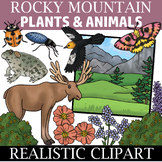 Rocky Mountain Clipart - Plants and Animals of the Rocky M