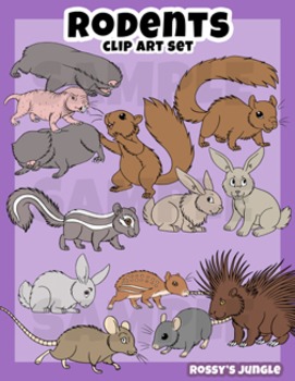 Preview of Rodents Clip Art Set
