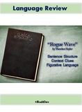 Rogue Wave  (Sentence Structure, Figurative Language, and 