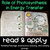 Role of Photosynthesis in Energy Transfer Read and Apply {