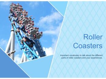 Rollercoaster Terminology