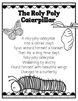 Roly Poly Caterpillar Poem with Life Cycle Poster by Miss Merry Berry