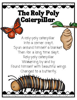 Roly Poly Caterpillar Poem with Metamorphosis Poster for Prek ...