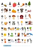 Romanian Alphabet with Words and Images Examples