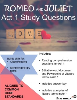 Preview of Romeo and Juliet Act 1  Vocabulary, Literary Terms, and Guided Reading Questions
