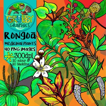 Preview of Rongoa Maori Medicinal Plant Clip Art