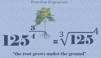 Preview of Root Grows Under the Ground Poster