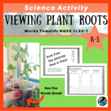 Plant Activity: Viewing Plant Roots