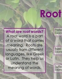 Root Words Poster