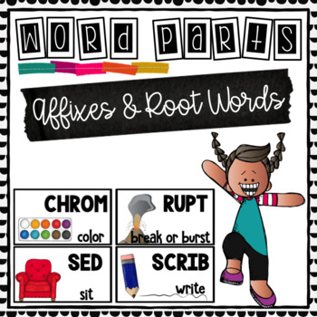 Preview of Root Words and Affixes- Word Study/Word Wall