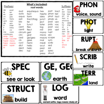 Root Words and Affixes- Word Study/Word Wall by TxTeach22 | TpT