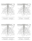 Root: Workbook Montessori Botany Nomenclature, dotted lines