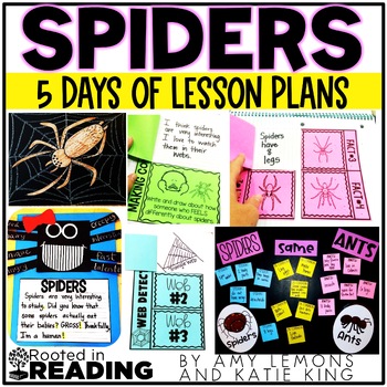 Preview of Rooted in Reading for Spiders and Nonfiction Activities