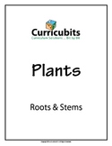 Roots & Stems | Theme: Plants | Scripted Afterschool Activity
