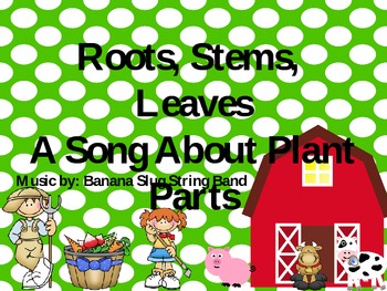 Preview of Roots, Stems and Leaves