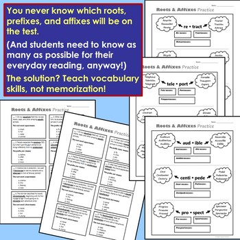 Roots and Affixes Practice Quizzes by English Teacher Mommy | TpT