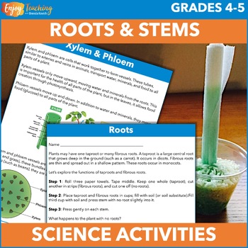 Preview of Roots and Stems Science Activities – Plant Structures & Functions