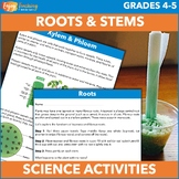 Roots and Stems Science Activities – Plant Structures & Functions