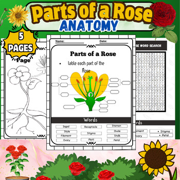 Preview of Rose Anatomy Unveiled: Labeling Worksheet-activities-coloring