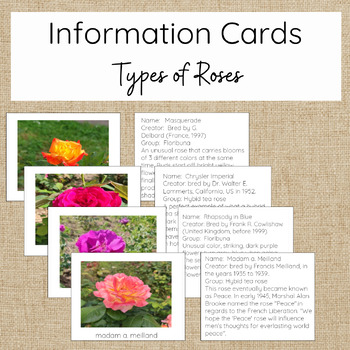 Preview of Rose Information Cards