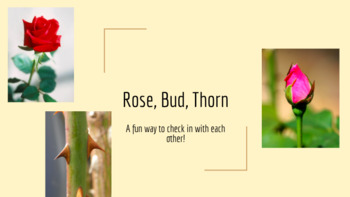 Preview of Rose, Bud, Thorn Icebreaker