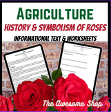 History & Symbolism Valentine's Day Roses for English, Agr